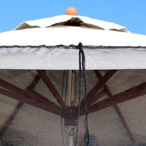 IMG_1172